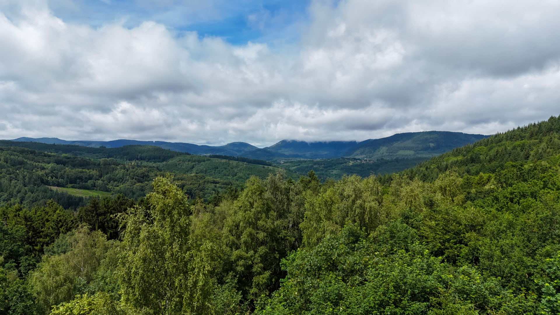 Luchtfoto van een bosrijk heuvellandschap met wolken